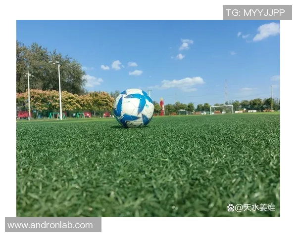 南京足球队的节奏揭秘：激情与梦想交织的绿茵传奇