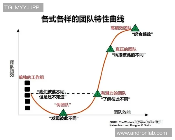 南京羽毛球队战术解析：聚焦技术与团队协作的完美结合