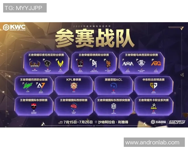 聚焦王者荣耀RNG战队的崛起与荣耀背后的力量解析