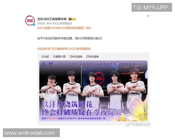 王者荣耀热点分析：深入解读JDG战队的控场策略与战术执行