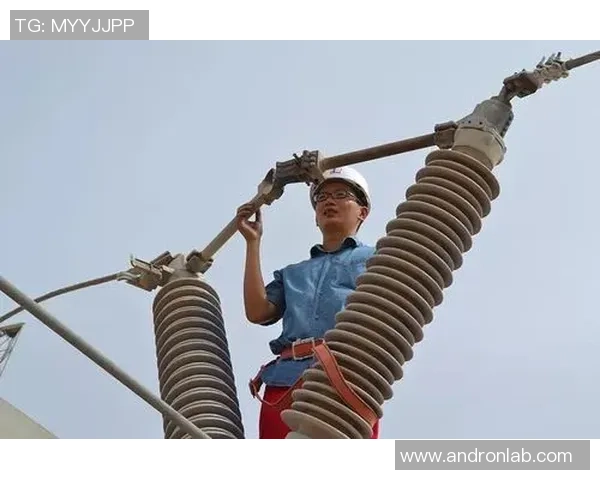 杭州篮球队的成长之路：一段激情与奋斗交织的纪实故事